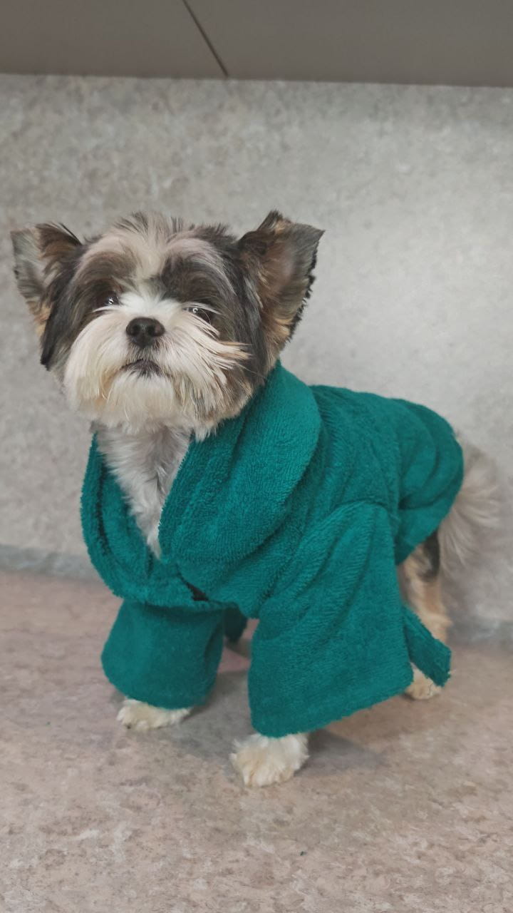 снимок Халат для собак махровый изумруд от магазина BIO-TEXTILES ОПТ