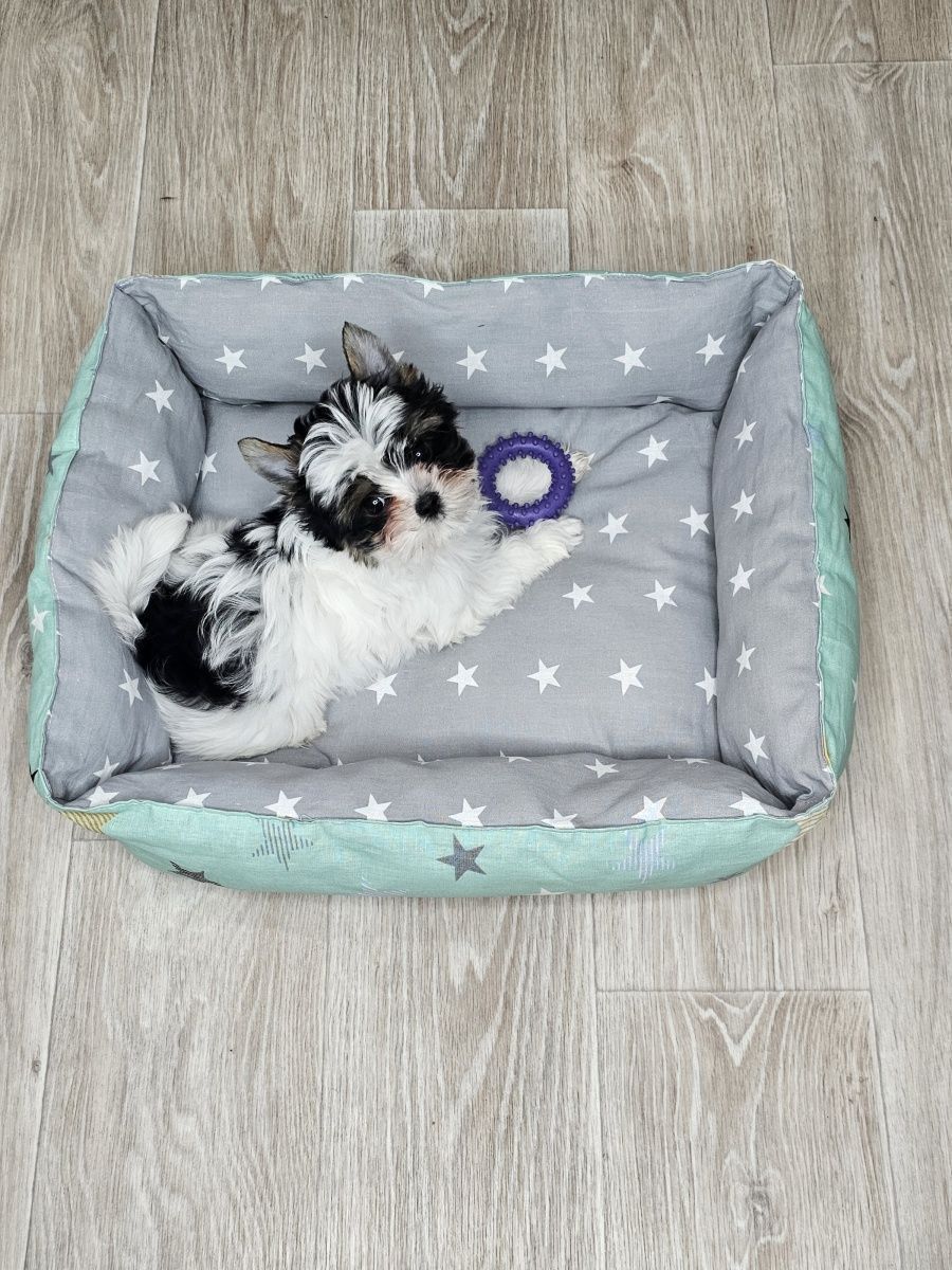снимок Лежак для кошек и собак "звезды" серый, зеленый от магазина BIO-TEXTILES ОПТ